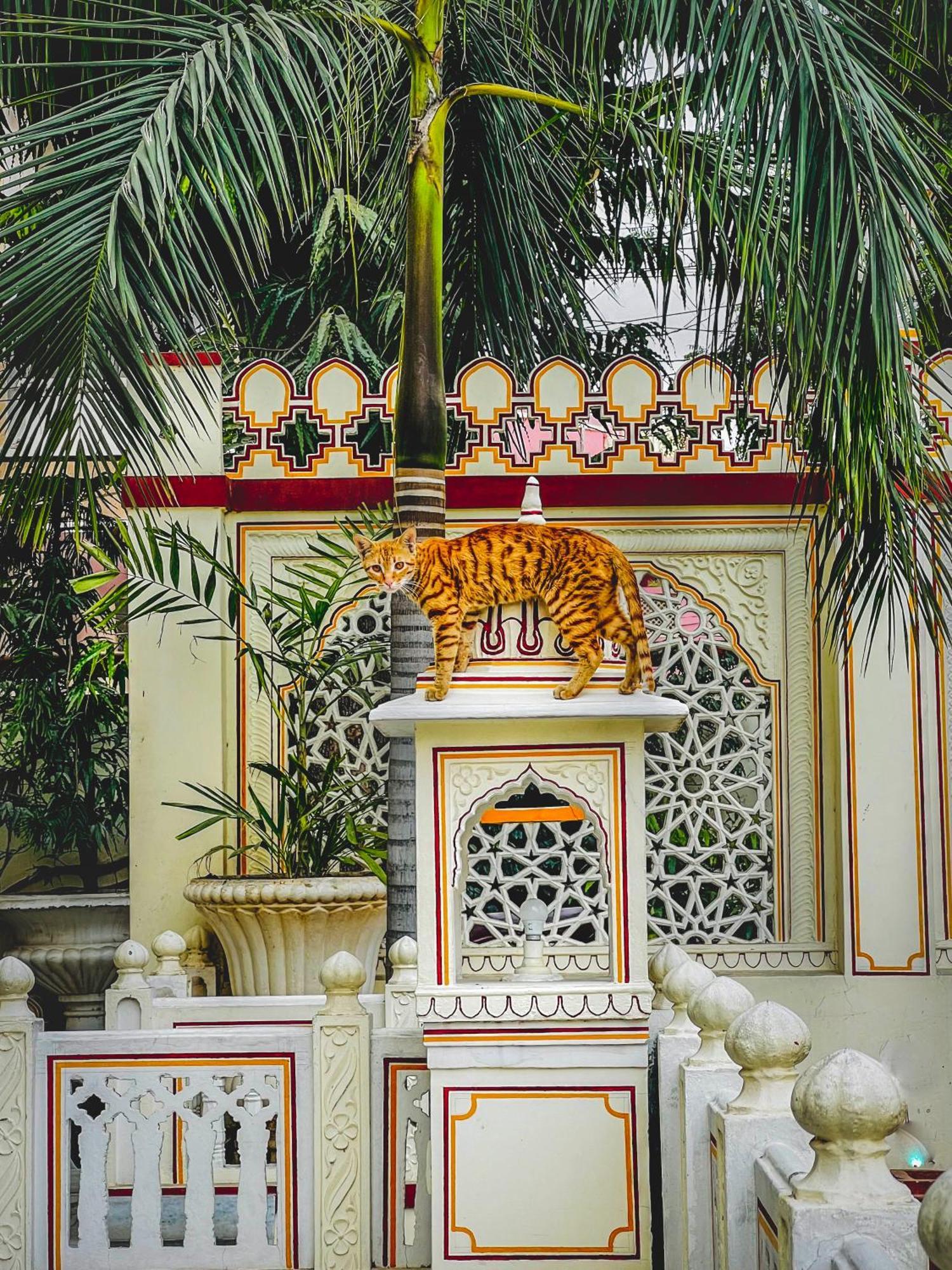 Krishna Palace - A Heritage Hotel Джайпур Екстер'єр фото